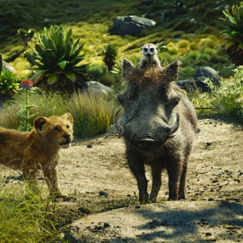 Ο Βασιλιάς των Λιονταριών