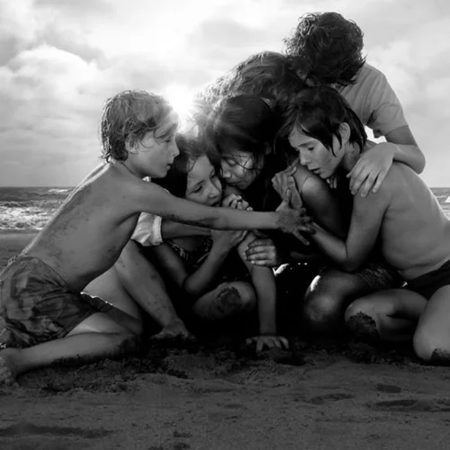 Τα κινηματογραφικά highlights της σεζόν 2018-19