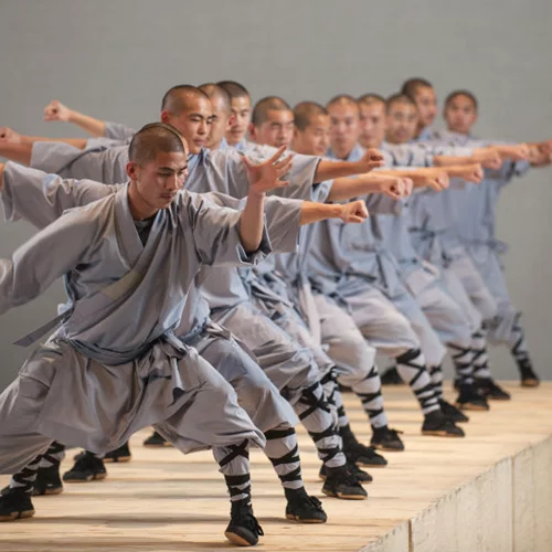 19 Σαολίν πρωταγωνιστούν σε ένα εντυπωσιακό θέαμα