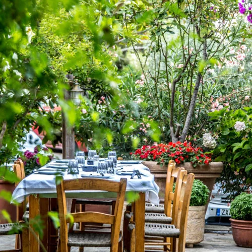 Κήποι και αυλές για κάθε διάθεση