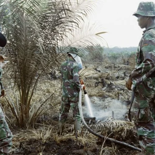 Το Ινστιτούτο Γκαίτε μας καλεί σε βοτανικές αποκαλύψεις