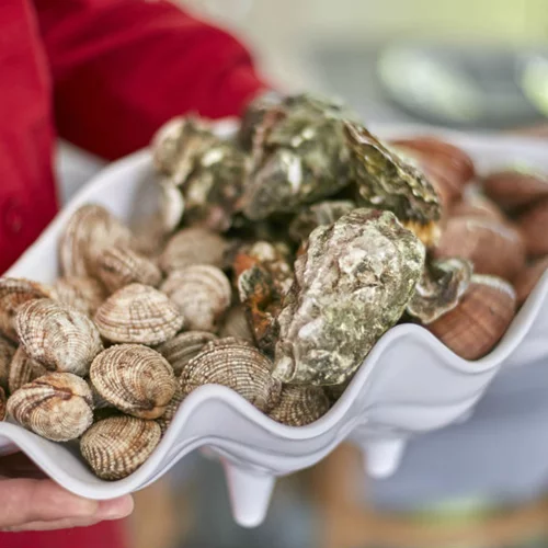 Φουλ της ωμοφαγίας στο «Ακροβόλι»