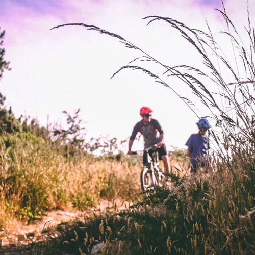 Έτοιμοι για ποδηλατάδα στα οινοποιεία της Νεμέας;