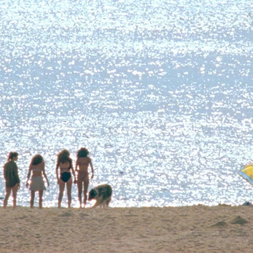 60o Φεστιβάλ Θεσσαλονίκης: Το ελληνικό σινεμά που συγκινεί και εμπνέει