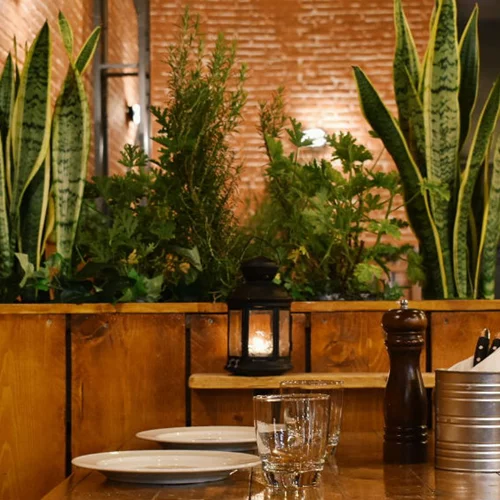 «Steve’s deli tavern»: Μια αλλιώτικη ταβέρνα στον Κεραμεικό 