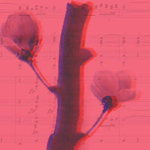 Ερωτική τραγουδοποίηση στη Στέγη