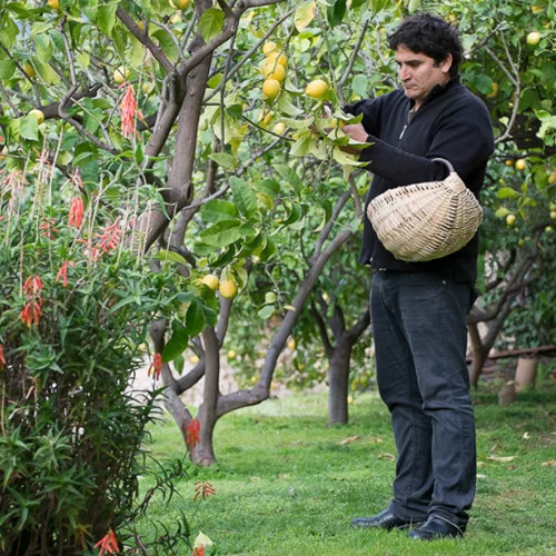 Mauro Colagreco: «Η γη με τραβάει σαν μαγνήτης, με έμαθε να βλέπω αλλιώς τη ζωή»