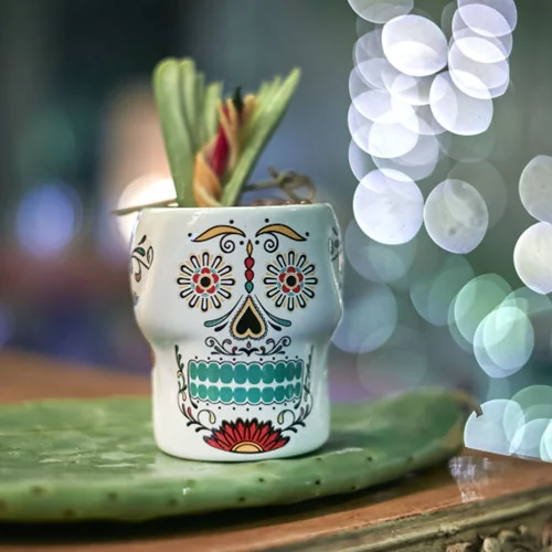 Στα εθνικ μπαρ της πόλης το ρούμι συναντά το τακουάν