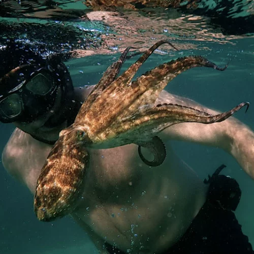 Έναρξη με παγκόσμια πρεμιέρα στο 22ο Φεστιβάλ Ντοκιμαντέρ Θεσσαλονίκης