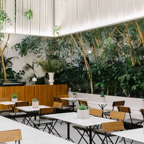 «Cycladic Café»: Ο Μπαξεβάνης μπήκε στο μουσείο