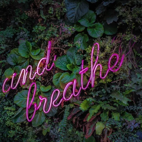 Δωρεάν online σεμινάρια διαλογισμού & life coaching 