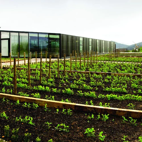 Το «Πράσινο Εστιατόριο» είναι το μέλλον της γαστρονομίας