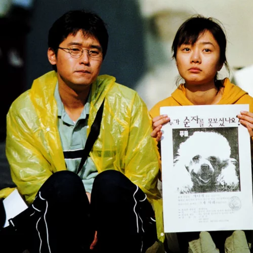 Αφιέρωμα σε ακυκλοφόρητες στην Ελλάδα, ταινίες του Μπονγκ Τζουν-χο