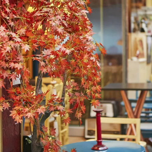 Μια αυλή που μοσχοβολά «Dirty Ginger» στο Χαλάνδρι