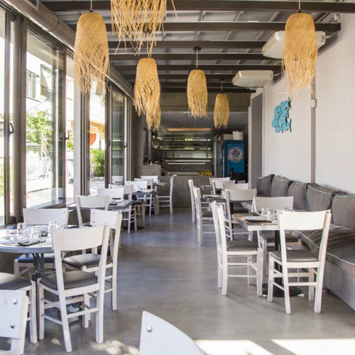 Νέο «Σαρδελάκι» κολυμπά στο Νέο Ψυχικό