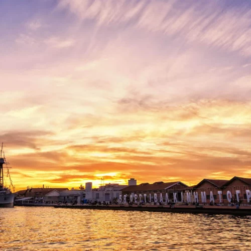 Ξεκίνησε η κατάθεση ελληνικών ταινιών στο 65ο Φεστιβάλ Κινηματογράφου Θεσσαλονίκης