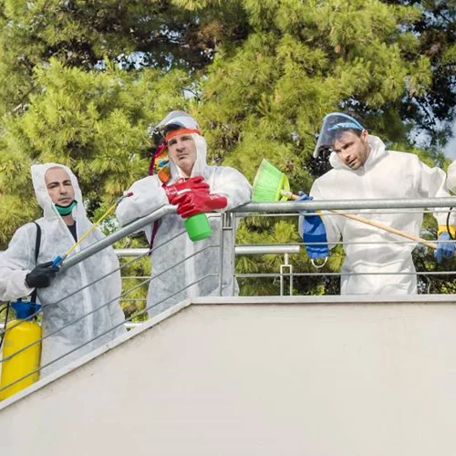 Φοίβο Δεληβοριά, γιατί την ξανακάνεις «Ταράτσα»;