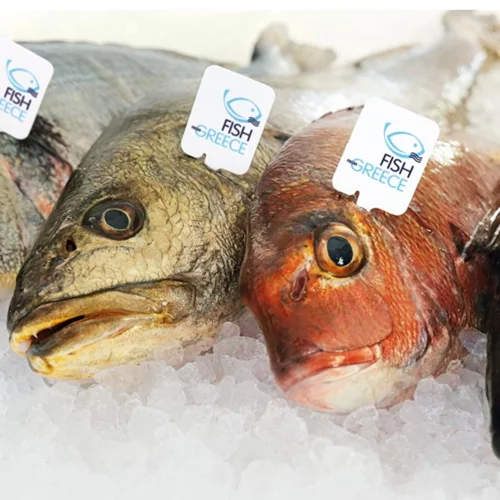 Fish from Greece: ψάρι με ταυτότητα, από ελληνικά νερά 