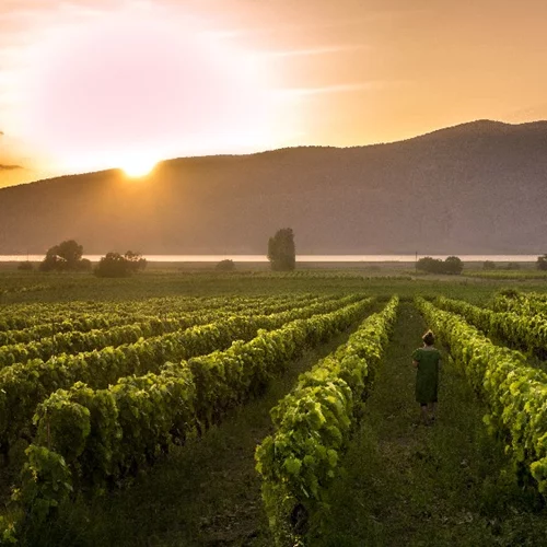 Βουτιά στη φύση: Οι λίμνες, τα ποτάμια και τα βουνά είναι must!