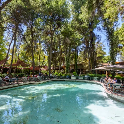 «Piu Verde»: Μια τρατορία για να χαθείς στο δάσος