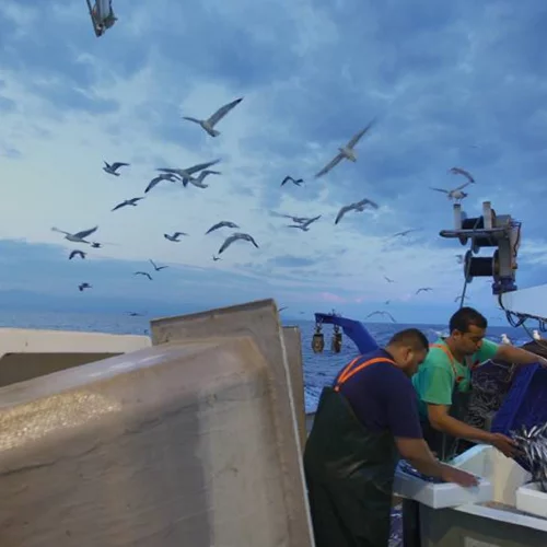 Το CineDoc με τη «Σιγή Ιχθύος» ανοίγει ένα περιβαλλοντικό θέμα που μας αφορά