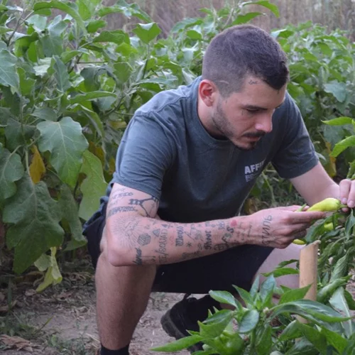 Pharaoh Fire Nights: Ο Δημήτριος Μούδιος μαγειρεύει για πρώτη φορά στην Ελλάδα