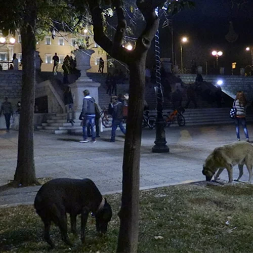 Οι Άγνωστοι Αθηναίοι