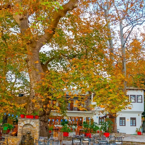 3 χωριά του Πηλίου για ένα υπέροχο φθινοπωρινό ταξίδι