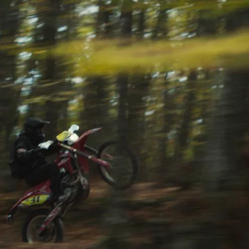 Οι εντυπώσεις μας από τις ελληνικές ταινίες του 61ου Φεστιβάλ Κινηματογράφου Θεσσαλονίκης