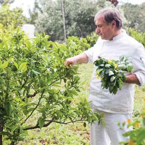 Ο Γιάννης Μπαξεβάνης ετοιμάζει νέο εστιατόριο με… χαρουποτυλιχτά!