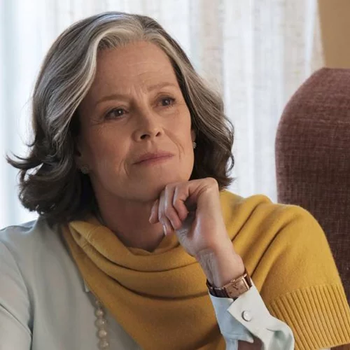 Ένας Χρόνος στη Νέα Υόρκη