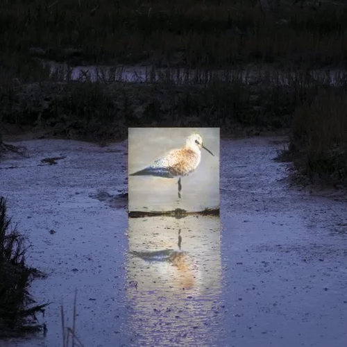 «You and AI»: Έκθεση με έργα τεχνητής νοημοσύνης έρχεται στο Πεδίον του Άρεως