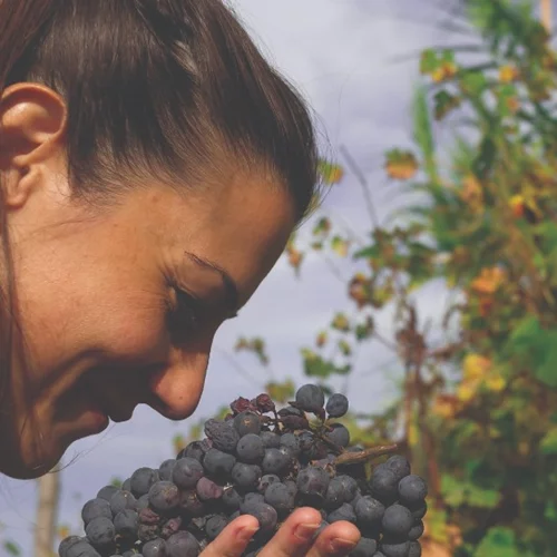 Κυριακή Καλημέρη: Μια Ελληνίδα κατακτά το δύσκολο terroir του Πιεμόντε