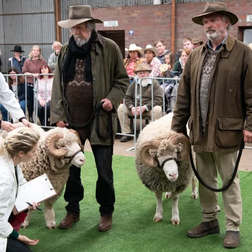 Αδέλφια σε Σύγκρουση 