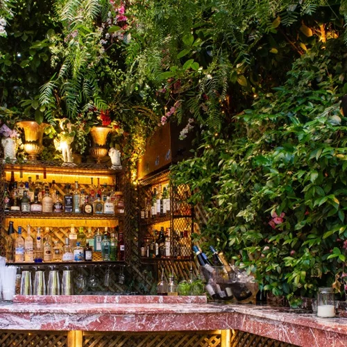 Αθηναϊκή τροπικάνα σε 4 στάσεις