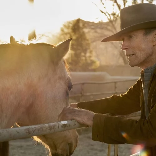 Updated | Οι ταινίες που έρχονται στις αίθουσες την Πέμπτη 16/9