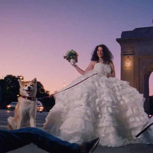 Ατυχές Πήδημα ή Παλαβό Πορνό 