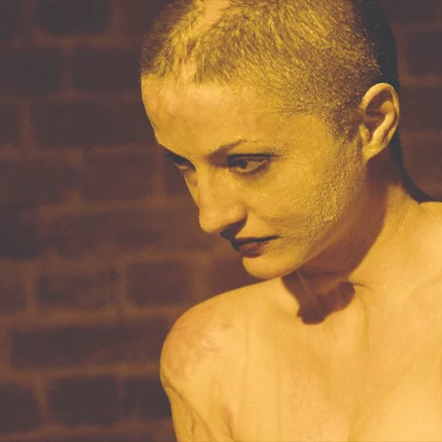 Ο Αλεξάντερ Νανάου και το ντοκιμαντέρ της χρονιάς «Κολέκτιβ»