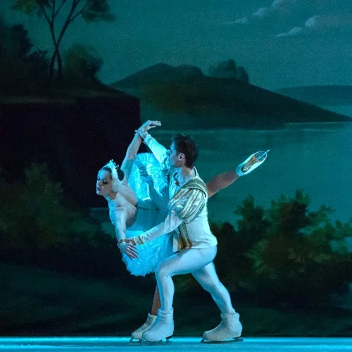 Παραμυθένιοι κύκνοι στον πάγο 