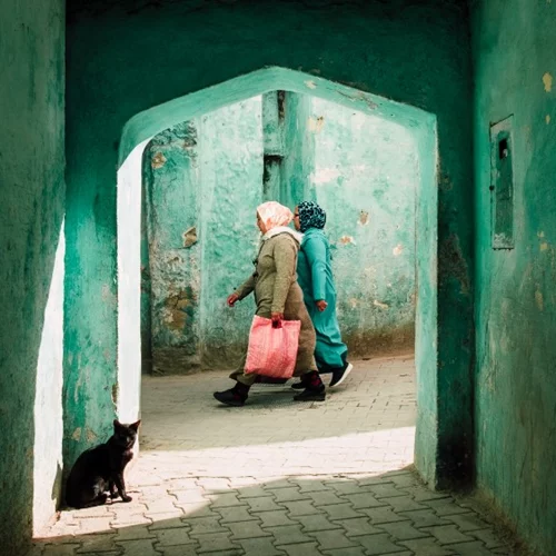 10 + 2 εκθέσεις που δεν πρέπει να χάσεις τον Νοέμβριο 