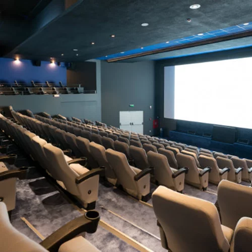 Κλειστοί κινηματογράφοι λόγω της επέλασης του χιονιά