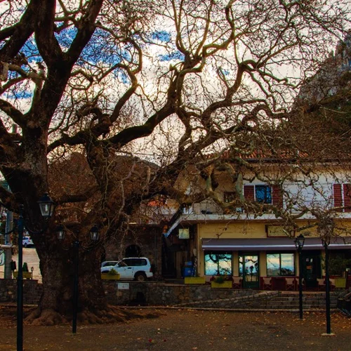 Αγόριανη - Πολύδροσος - Τιθορέα: Διασχίζοντας τα αλπικά χωριά του Παρνασσού