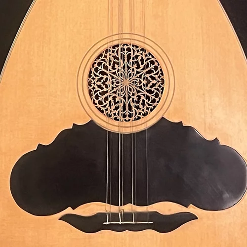 Νέο τμήμα παραδοσιακής και αστικής λαϊκής μουσικής ανοίγει στο Ωδείο Αθηνών