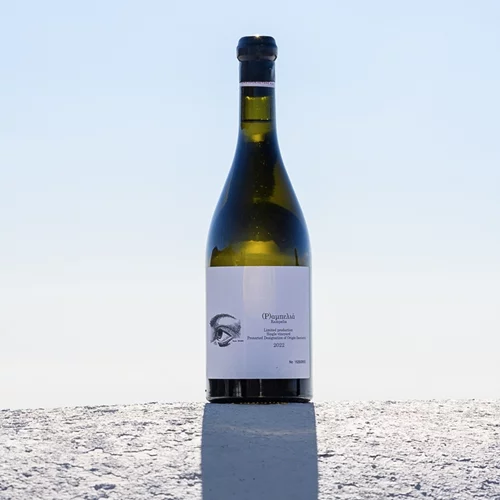 (Ρ)αμπελιά 2022: Αύρα Αιγαίου σε κάθε γουλιά