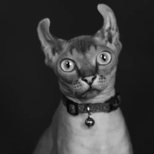 Για τον Θάνο Λεβέντη, τελικά αυτό που μένει είναι η "αλήθεια υπό το 0"