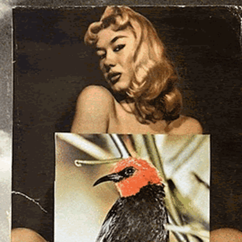 Εγκαίνια: Οι εκθέσεις της εβδομάδας (5-11/12)