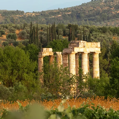 Διήμερο στη Νεμέα με οινική αφορμή