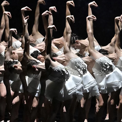 Μοντέρνα εκδοχή της "Λίμνης των Κύκνων" στο Μέγαρο