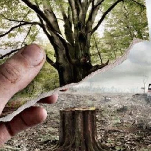 Φεστιβάλ θεάτρου αφιερωμένο στο περιβάλλον διοργανώνει το θέατρο Τόπος Αλλού