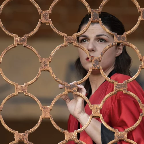 "Το μπορντέλο της Μαντάμ Ρόζας": Παράταση παραστάσεων για το μονόλογο της Σπεράντζας Βρανά